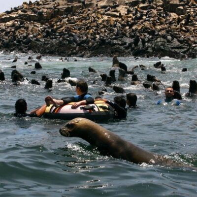 Palomino Island tour