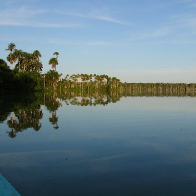 Tambopata Selva Amazónica 5D/4N