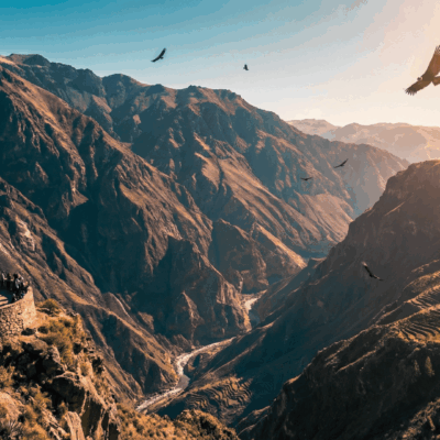 Colca Canyon to Puno 2D/1N