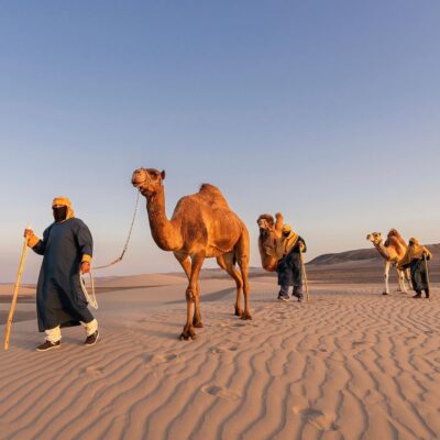 Paracas - Huacachina - Camel Farm 3D/2N